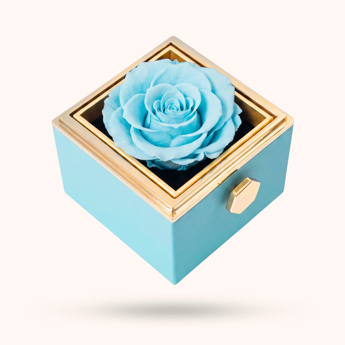 Box Rosa Eterna