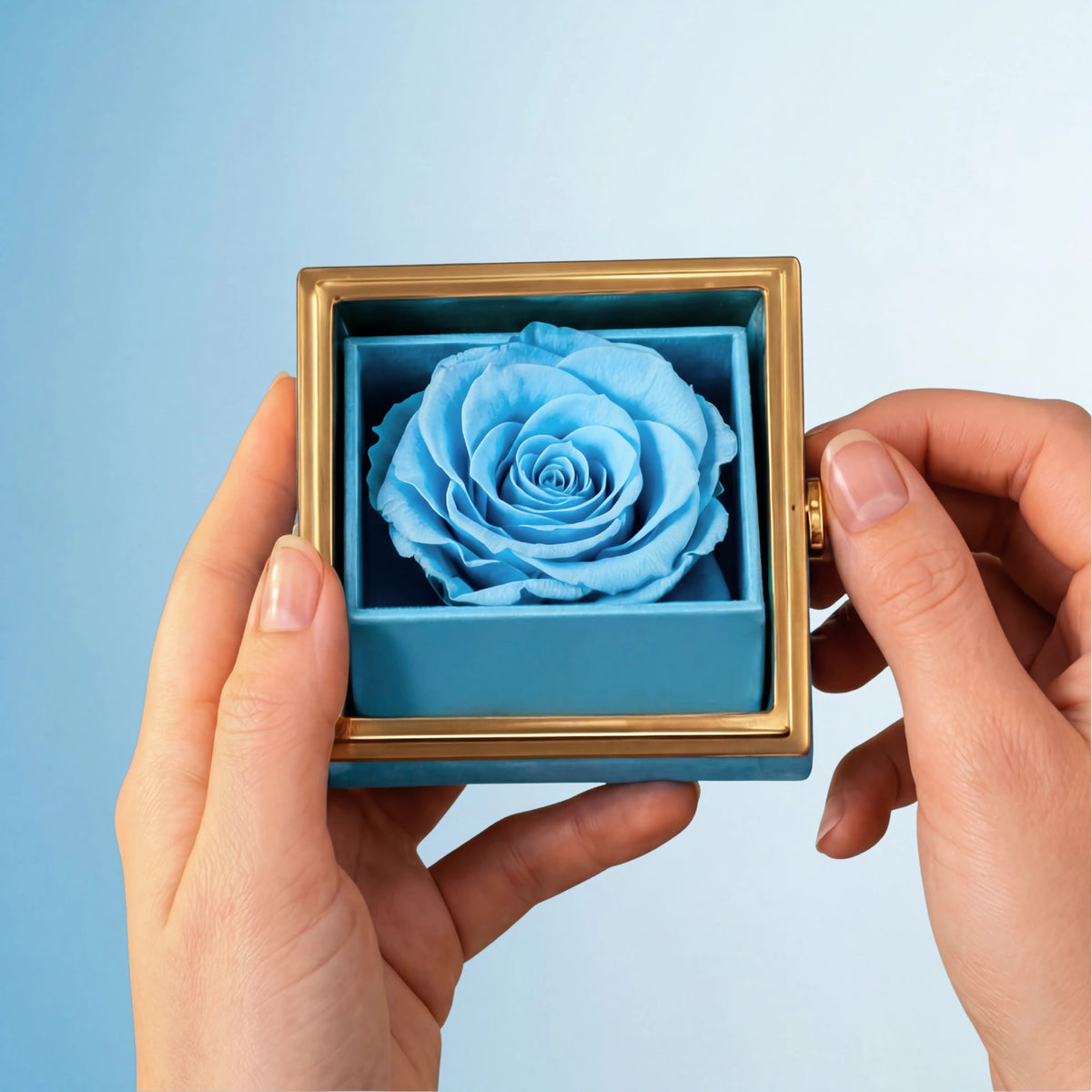 Box Rosa Eterna