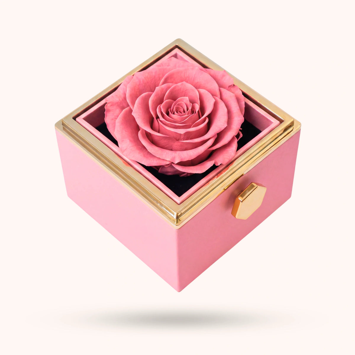 Box Rosa Eterna