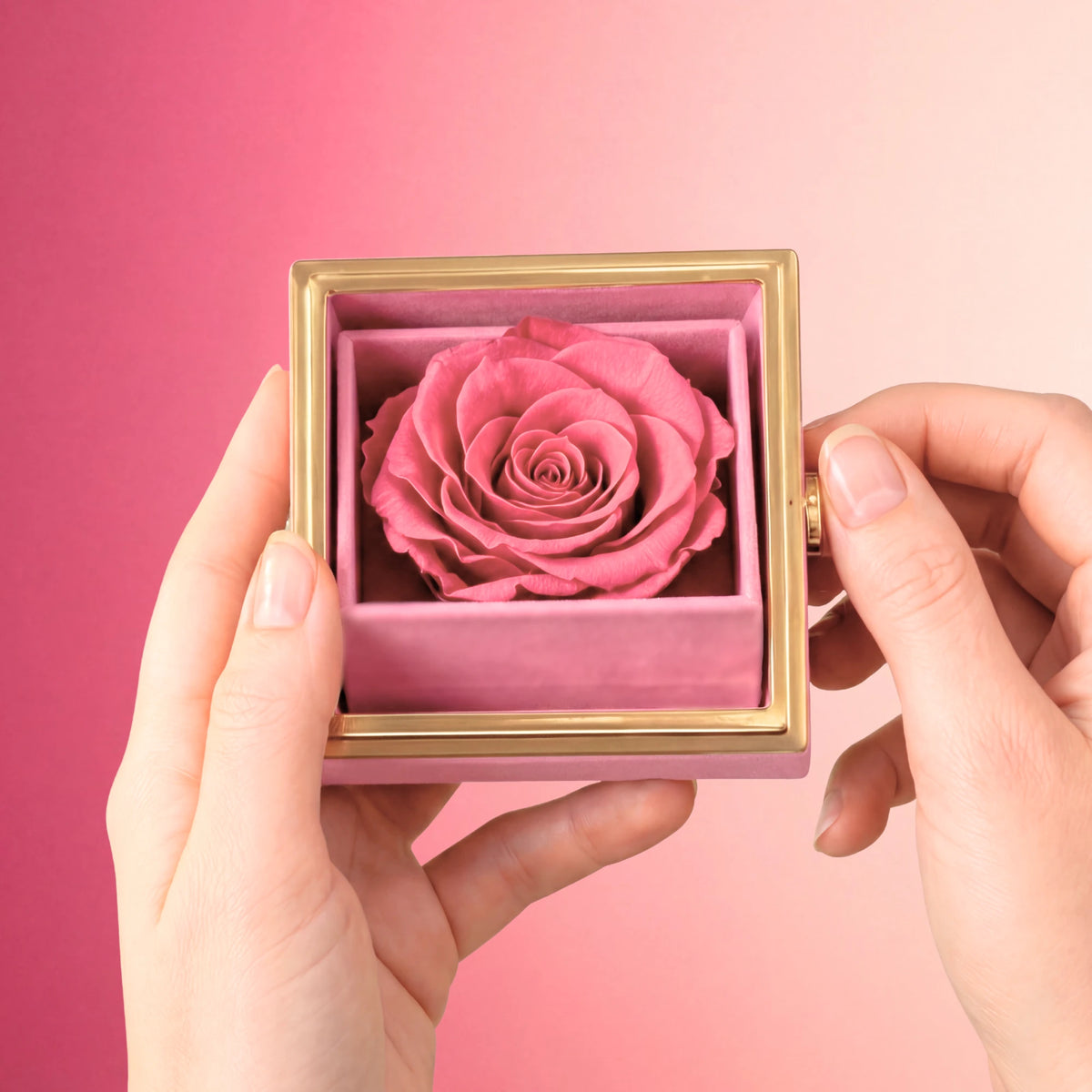Box Rosa Eterna