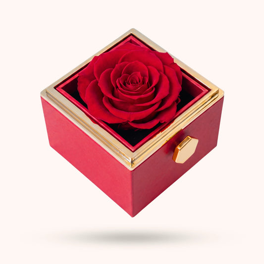 Box Rosa Eterna