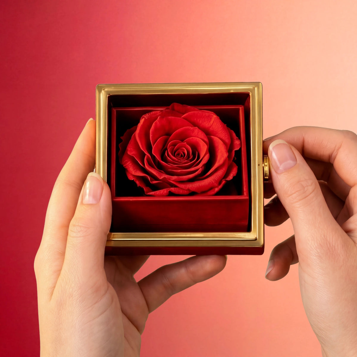Box Rosa Eterna